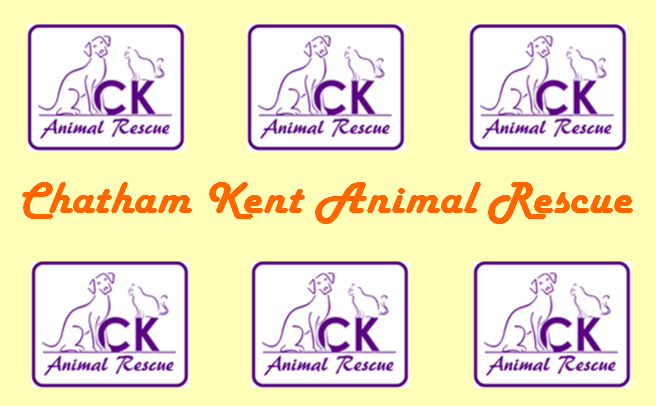 Chatham-Kent Animal Rescue